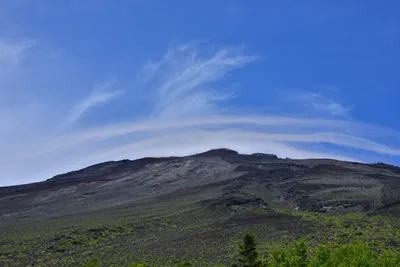 DSC_3655 (Large).JPG